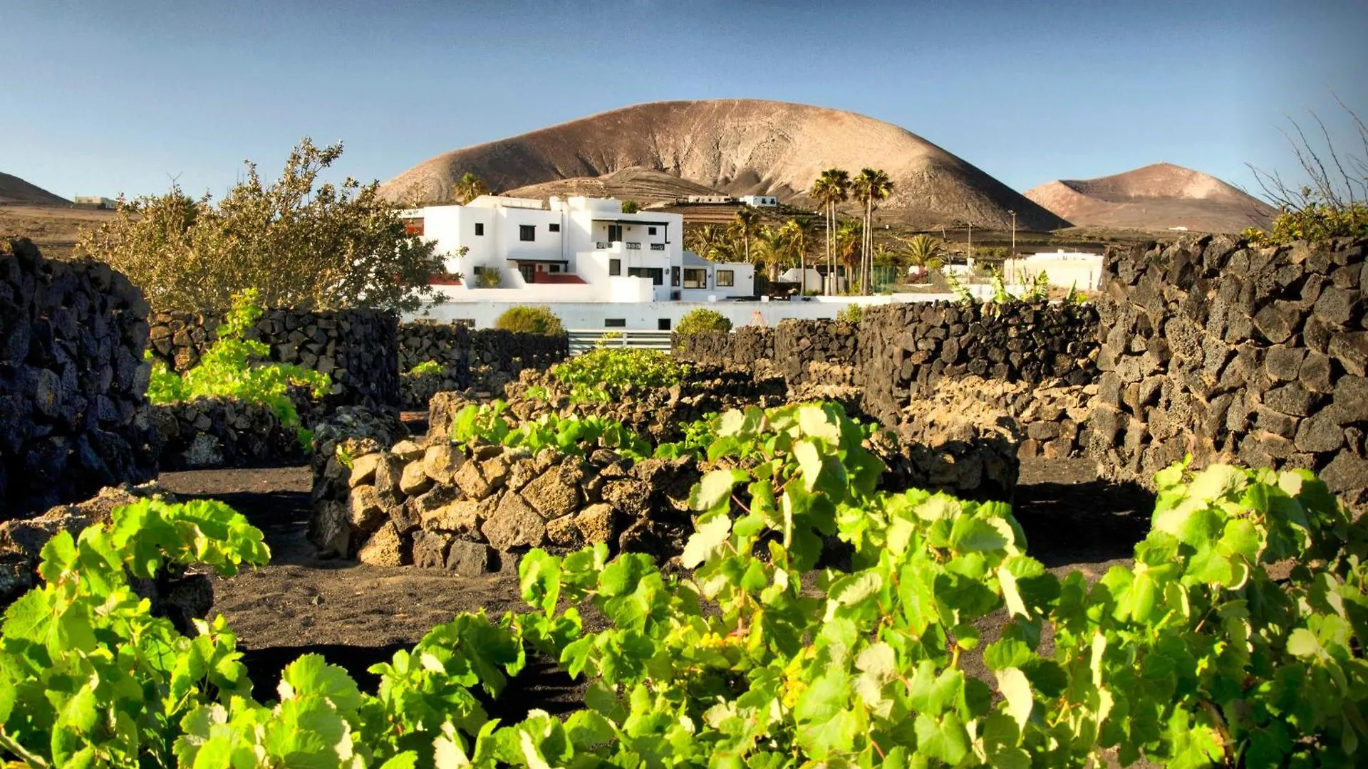 Hotel Rural Finca De La Florida San Bartolomé